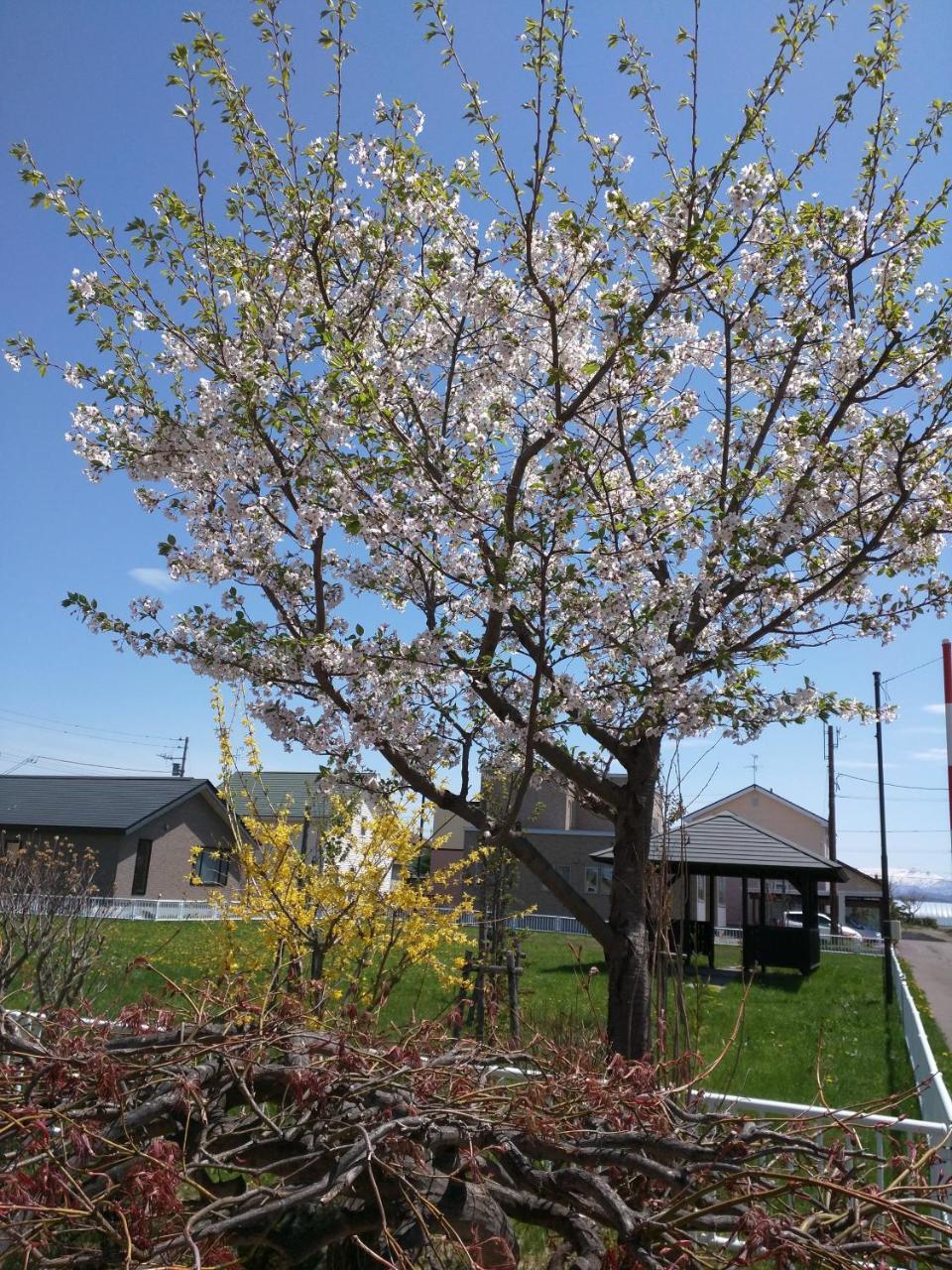 Hus på 99 m² i Higashikagura, med 2 sovrum och 1 badrum  Asahikawa Exteriör bild